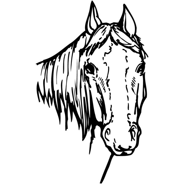 HORSE004 Thumbnail