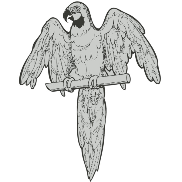 Bird   Parrot Thumbnail