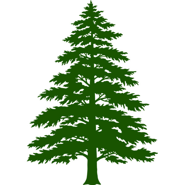 Tree Plant 3 Thumbnail