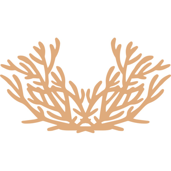 Sea Plants Thumbnail