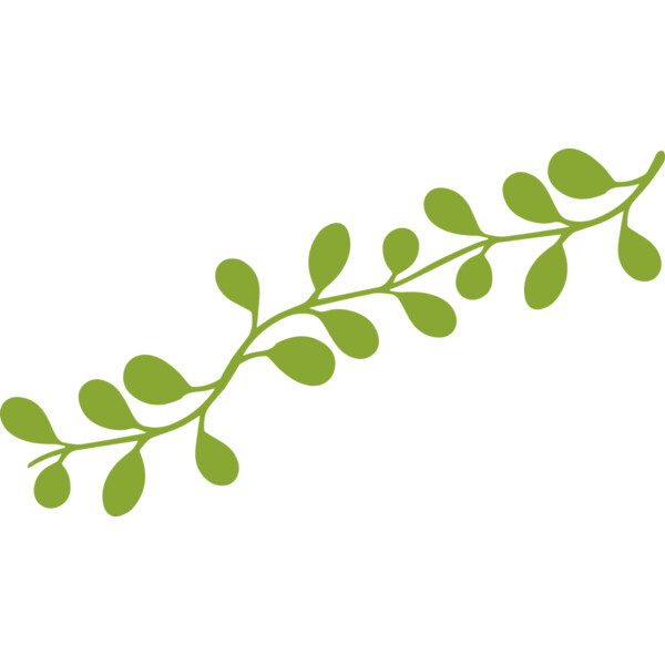Leaves 13 Thumbnail