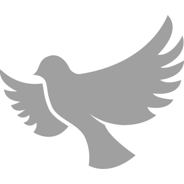 Dove Thumbnail