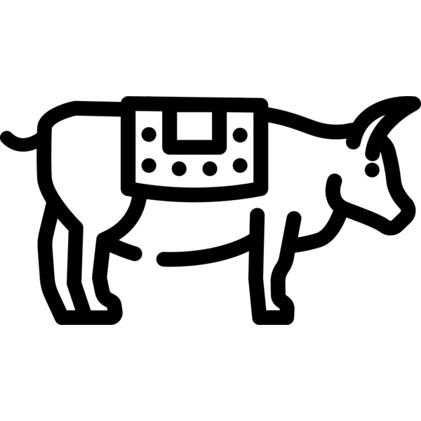 Sacred Cow 3 Thumbnail